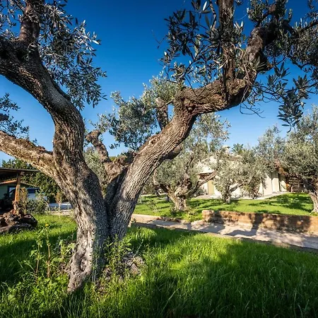 לינה וארוחת בוקר Relais San Baio 4*