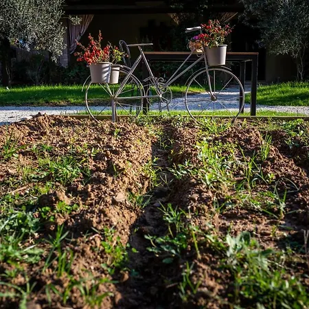 Relais San Baio Cecina (Livorno)