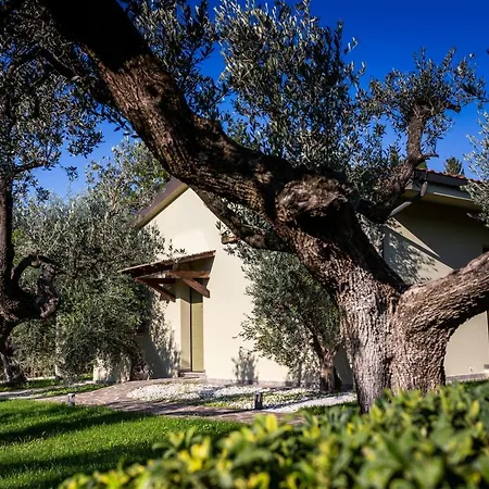 Relais San Baio לינה וארוחת בוקר צ'צ'ינה